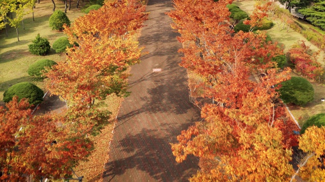 韩国蔚山在秋天视频下载