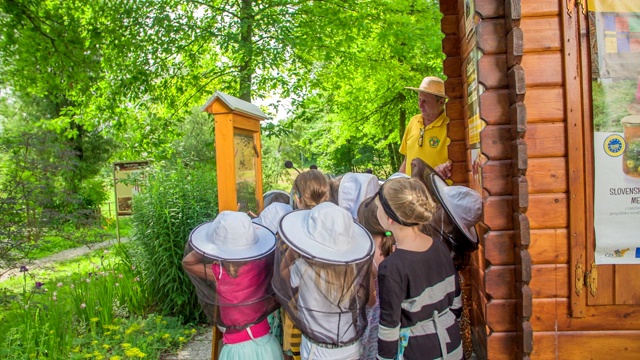 孩子们在一次野外旅行中学习蜜蜂知识视频下载