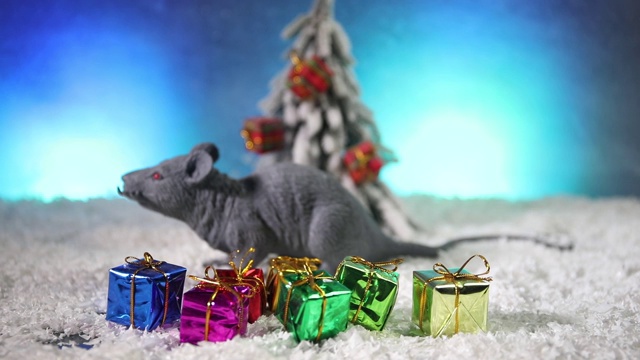 装饰可爱的棕色老鼠周围用圣诞装饰和圣诞老人。老鼠是2020年新年的象征视频素材