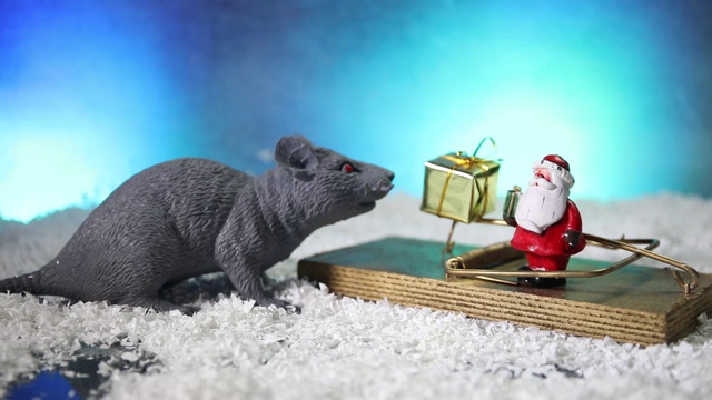 装饰可爱的棕色老鼠周围用圣诞装饰和圣诞老人。老鼠是2020年新年的象征视频素材