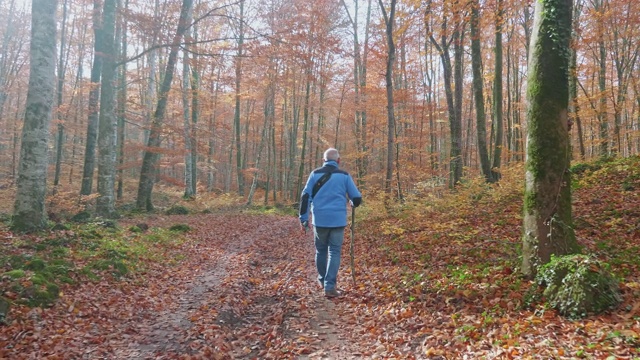 老人沿着秋天的森林徒步旅行视频下载