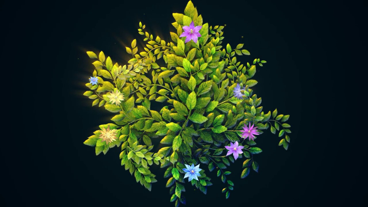 植物生長背景視頻素材