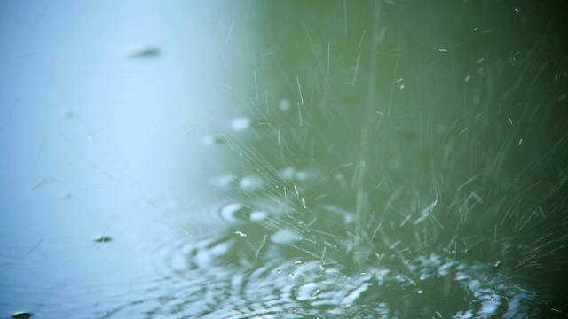 宏观雨滴落在水坑表面视频素材