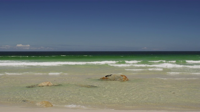 观看热带海滩与海浪击中白色沙滩，南非视频下载