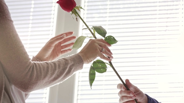 一位快乐的中年妇女，闻着丈夫情人节送给她的玫瑰视频素材