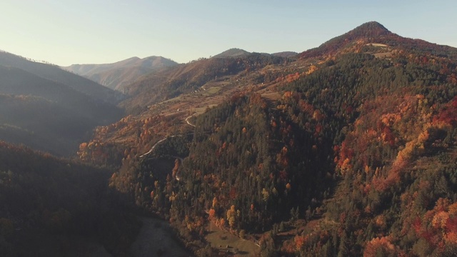 在阳光明媚的秋天，向后空中俯瞰高山山谷和橙色落叶松森林。鸟瞰山间蜿蜒的山路。视频素材