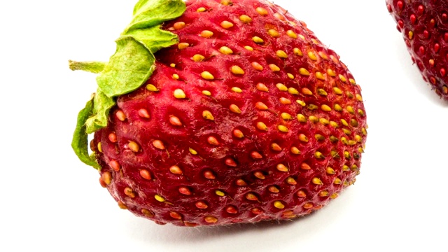 草莓在白色背景下腐烂的时间流逝。视频下载
