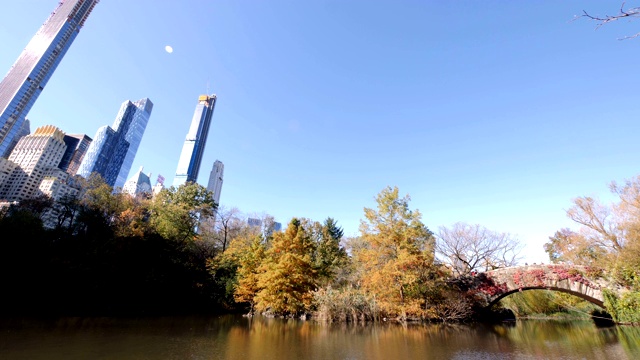 纽约中央公园的天际线视频素材