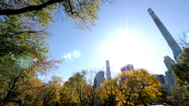 纽约的中央公园视频素材