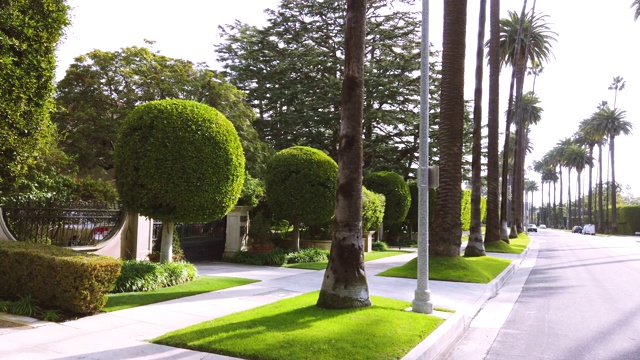比弗利山的绿树成荫的道路视频下载