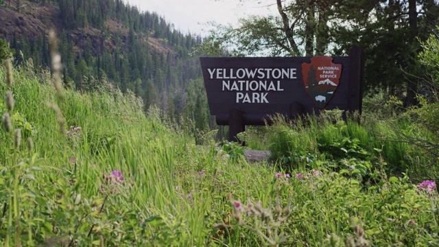 黄石国家公园的欢迎标志四周环绕着森林和落基山脉视频素材