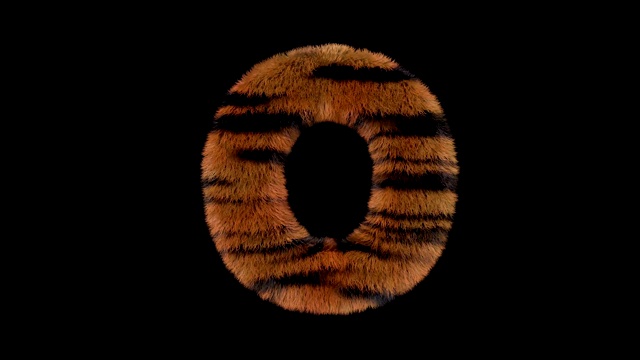 动画毛茸茸的动物园老虎的文本字体O视频下载