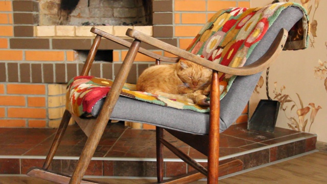 猫睡在壁炉后面的摇椅上视频下载