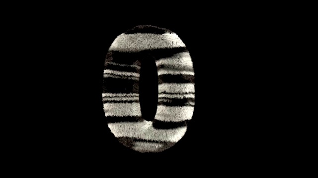 动画毛茸茸的动物园斑马的文本字体0视频下载