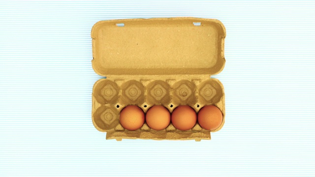 鸡蛋出现和消失从纸板盒鸡蛋在蓝色背景-停止运动视频下载