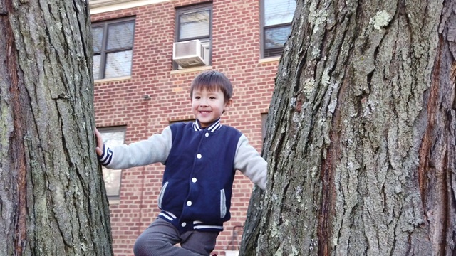 快乐的男孩在爬树视频下载