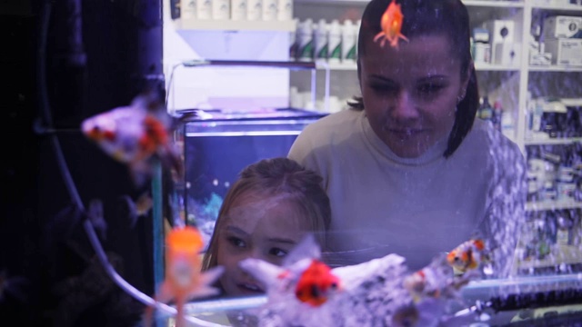 小女孩和妈妈站在宠物店的玻璃鱼缸后面视频素材