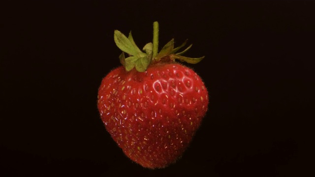 慢动作-悬浮新鲜多汁的草莓。旋转成熟的草莓在空中飞行孤立在黑色的背景。特写镜头，相机360度旋转。视频下载