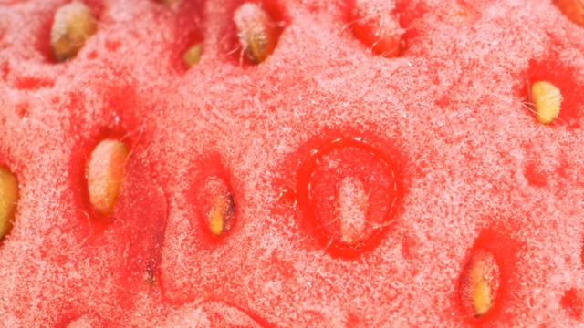 新鲜冷冻草莓的极端特写，360度旋转，特写视频下载