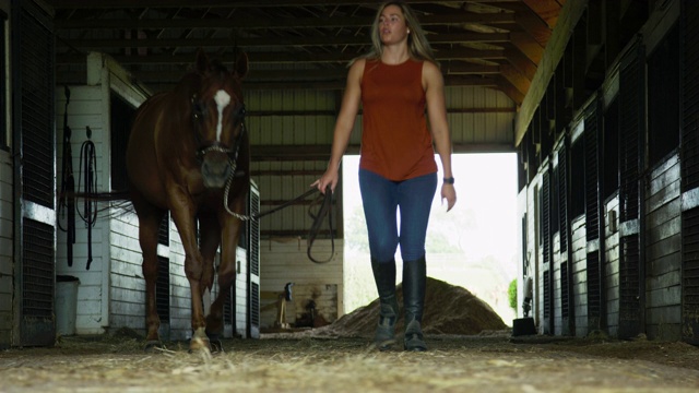 一个三十多岁的年轻女人把她的棕色的马从马场的谷仓里牵出来视频下载