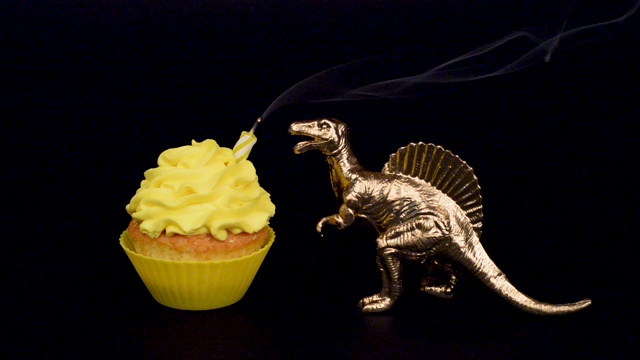 金色恐龙吹灭了一个明亮的黄色蛋糕上的蜡烛孤立在一个黑色的背景。生日快乐的概念。高清视频。生日蛋糕和玩具恐龙视频下载