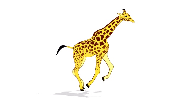 长颈鹿奔跑循环动画视频素材