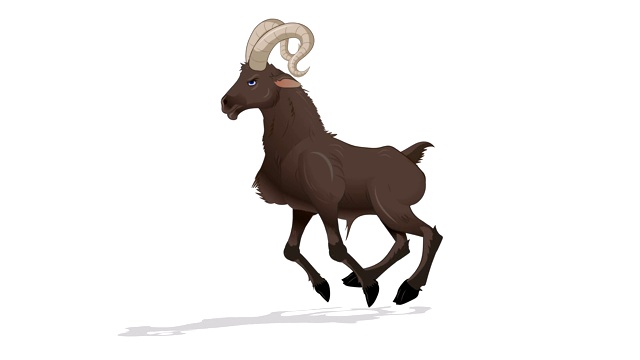 山羊跑循环动画视频素材