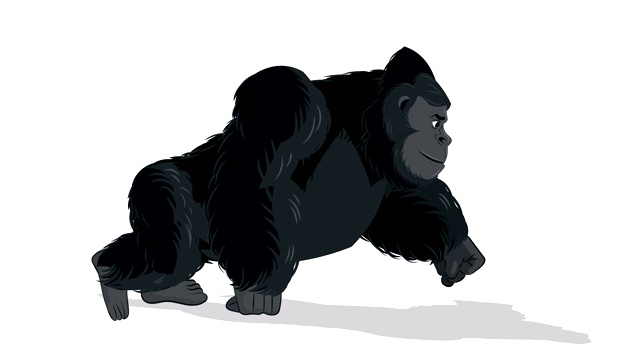 大猩猩行走循环动画视频素材