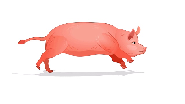 Pig Run循环动画视频素材
