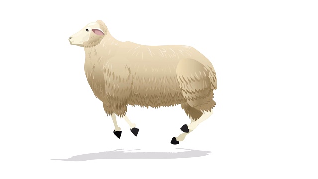 羊跑循环动画视频素材