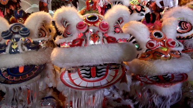 春节期间一群中国狮子表演。视频下载