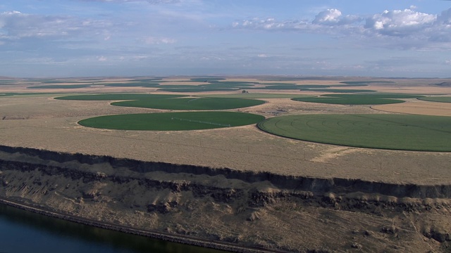 鸟瞰图中心枢轴灌溉圆形农田的河流，瓦拉瓦拉，华盛顿州，美国。视频下载