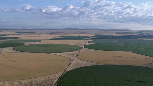 鸟瞰图中心枢轴灌溉圆形农田对多云的天空，瓦拉瓦拉，华盛顿州，美国。视频素材