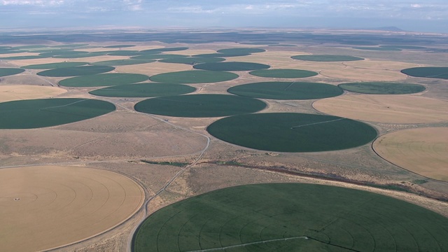 美国华盛顿州瓦拉瓦拉中心枢轴灌溉圆形农田鸟瞰图。视频素材