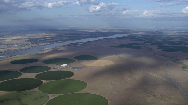 美国华盛顿州瓦拉瓦拉中心枢轴灌溉圆形农田鸟瞰图。视频素材