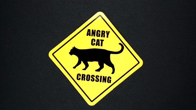 愤怒的猫过马路警告标志字文字视频下载