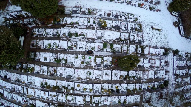 空中拍摄的男子与鲜花覆盖在积雪的墓碑，无人机上升的墓地在冬天-埃尔福特，德国视频下载
