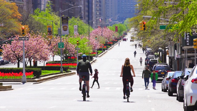 2020年4月19日，美国纽约市曼哈顿上城区，公园大道被一排排盛开的樱花环绕，受2019冠状病毒病的影响，公园大道的交通消失了。视频下载