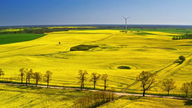 用风力涡轮机在黄绿色的油菜田上空飞翔视频素材