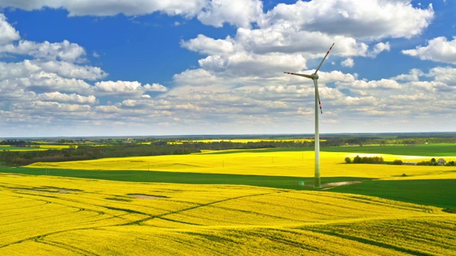黄色和绿色的油菜田和蓝色的天空，波兰视频素材