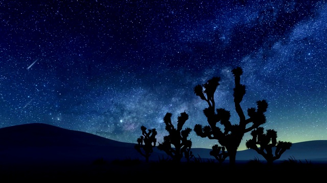 沙漠约书亚树和夜空中的流星视频下载