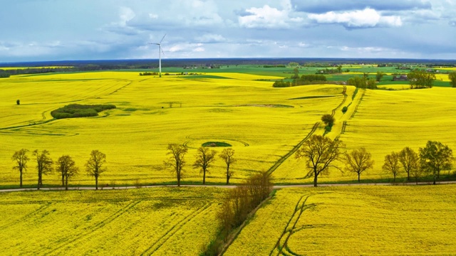 黄色的油菜田和白色的风力涡轮机，鸟瞰图视频素材