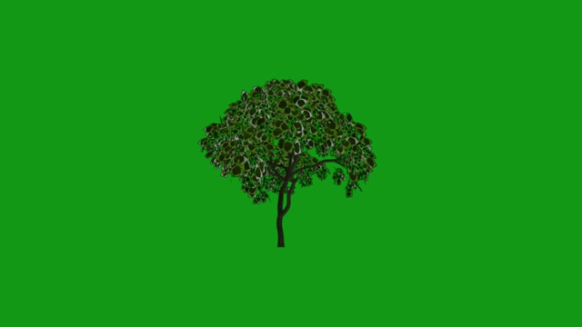移动树运动图形与绿色屏幕背景视频下载