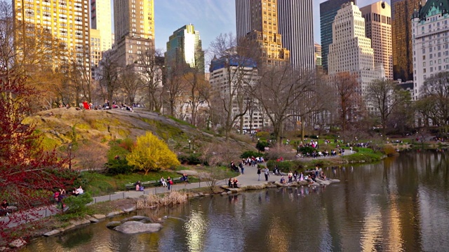 纽约中央公园的池塘视频素材