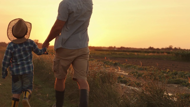 日落时分，父子俩一起在田野里散步视频素材