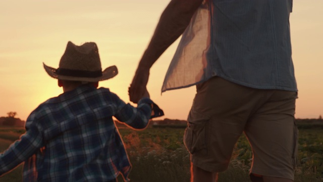 SLO MO父亲和儿子有乐趣，在一起度过美好的时间在一个田野日落视频素材