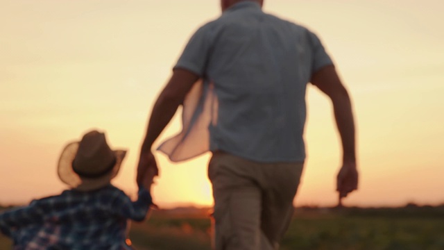SLO MO父亲和儿子一起在一个田野在日落的质量时间视频素材