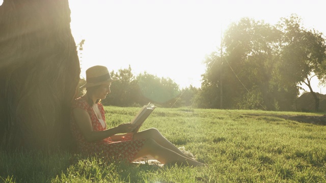 周末坐在草地上，倚在大树上，在公园里看书。日落时分，穿着衣服的女人在公园里放松。雌性坐在草地上，享受着夏日的夜晚视频素材