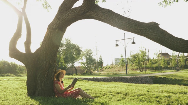 日落时分坐在公园里看书的女人。在温暖的夏夜，迷人的女性坐在城市公园的大绿树旁的草地上看书视频素材