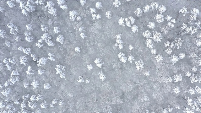 通过冬季4K空中视频攀登冰冻森林视频下载
